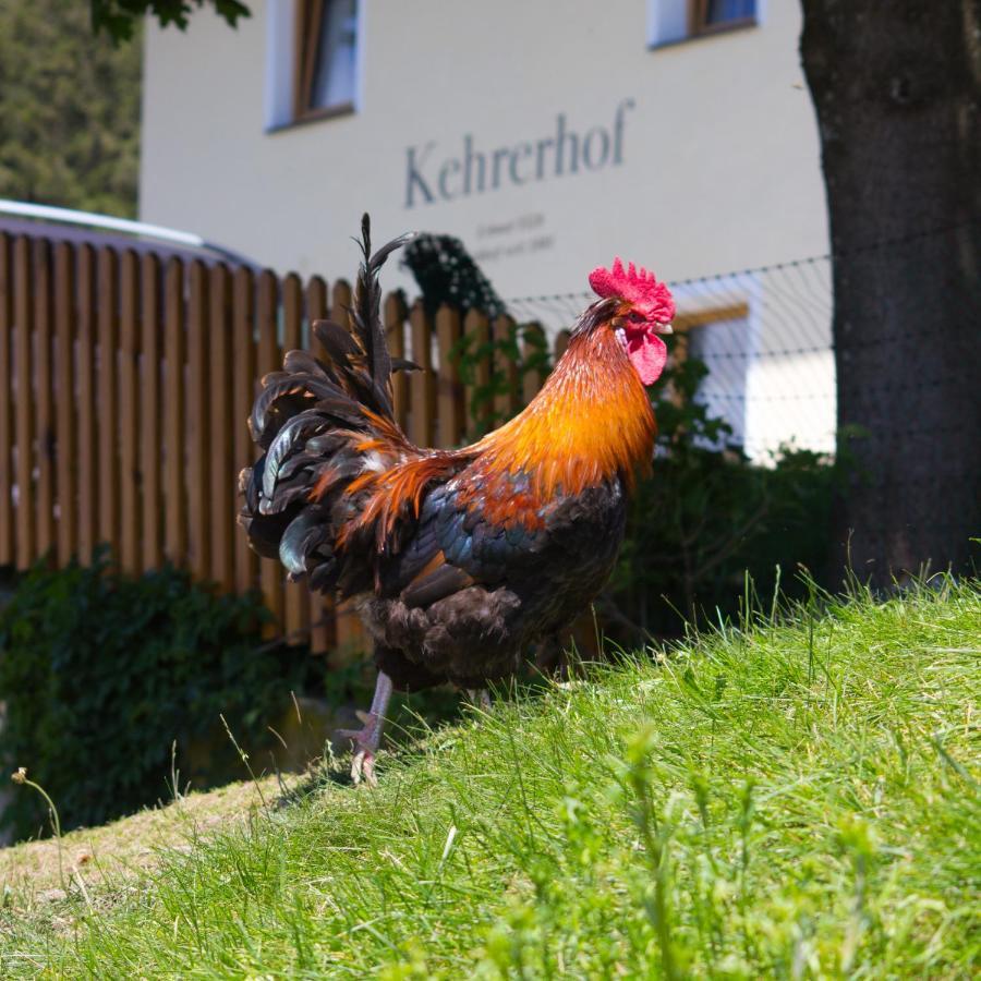 Hotel Kehrerhof Ellbögen Zewnętrze zdjęcie